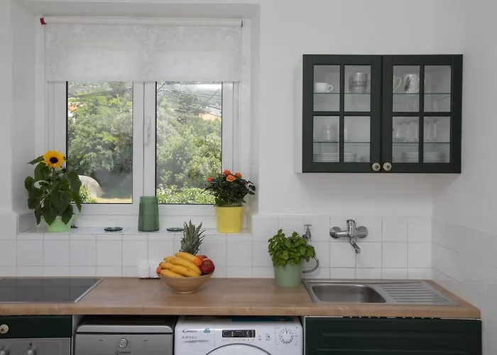 Rakic Апартаменти